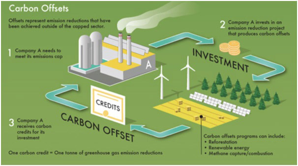 Carbon Credits Cycle